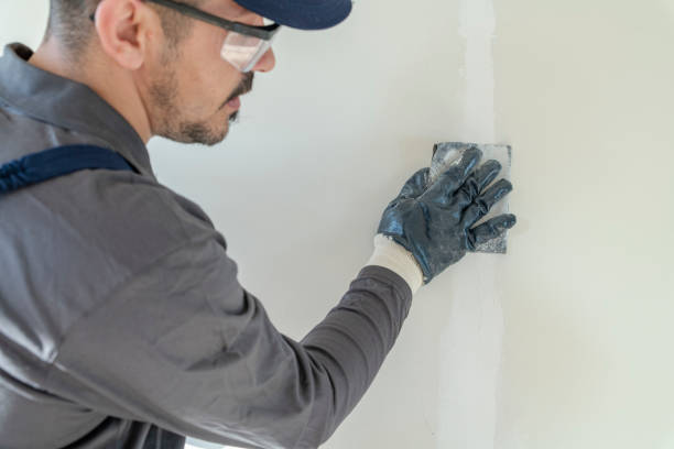 Best Attic Mold Removal  in Eureka, IL