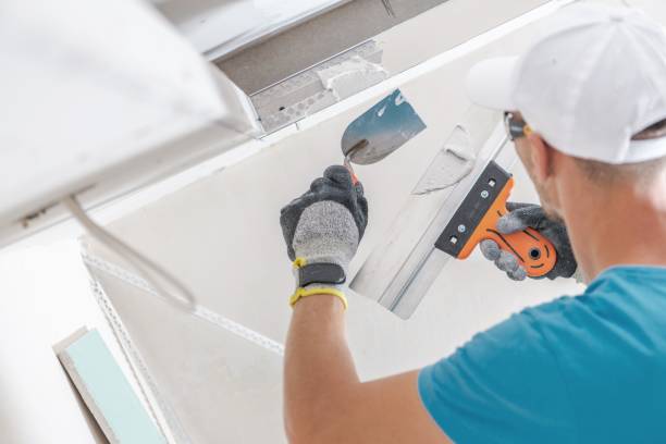 Professional Mold Removal in Eureka, IL